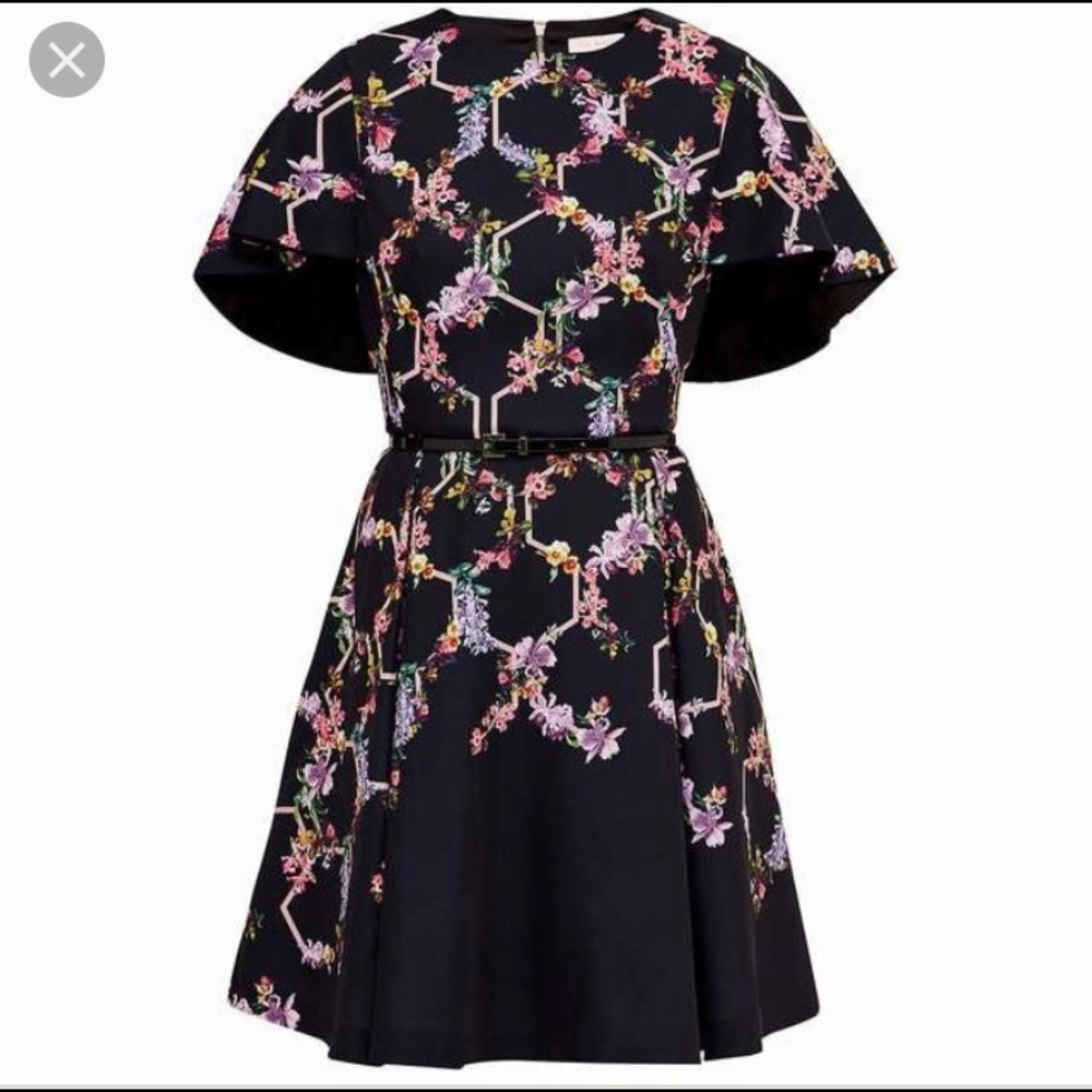 Ted Baker Dress